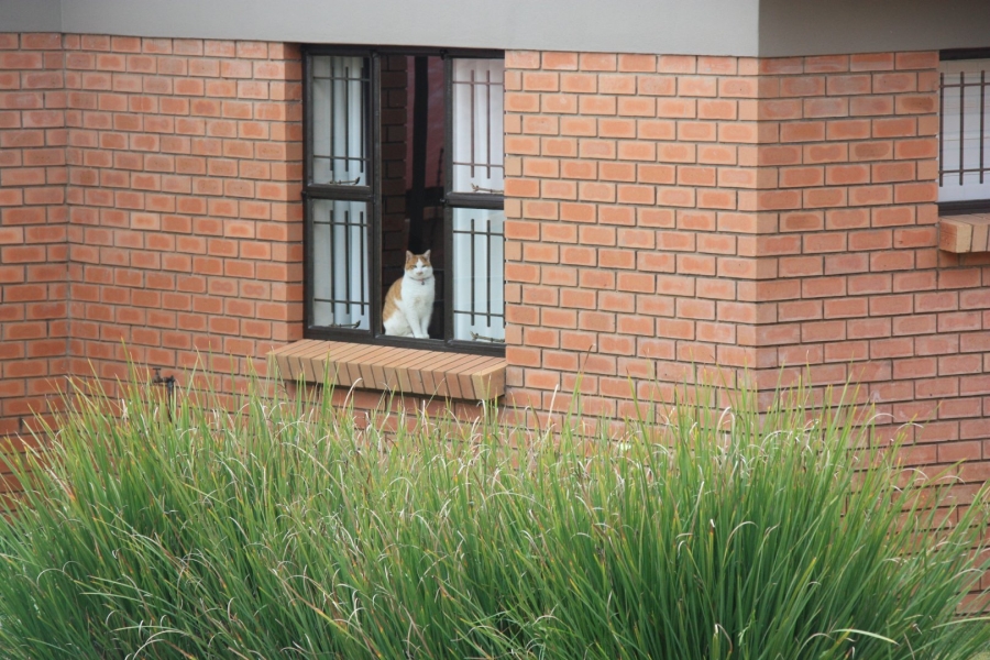 2 Bedroom Property for Sale in Langenhovenpark Free State
